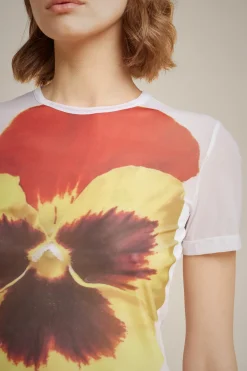 T-Shirt Manica Corta-Liviana conti Discount